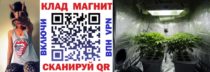Где купить наркотики Старый Оскол ГАШ  Alpha-PVP  NBOMe  АМФ  Cocaine  Каннабис  Мефедрон 