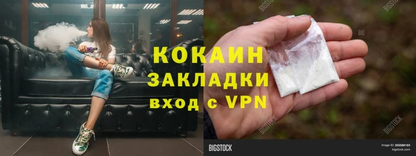 дмт Новозыбков